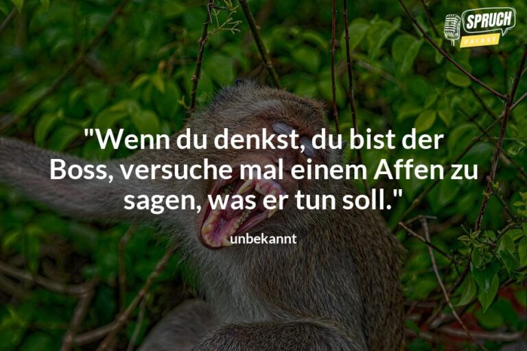 10 AffenSprüche, die garantiert für Lachanfälle