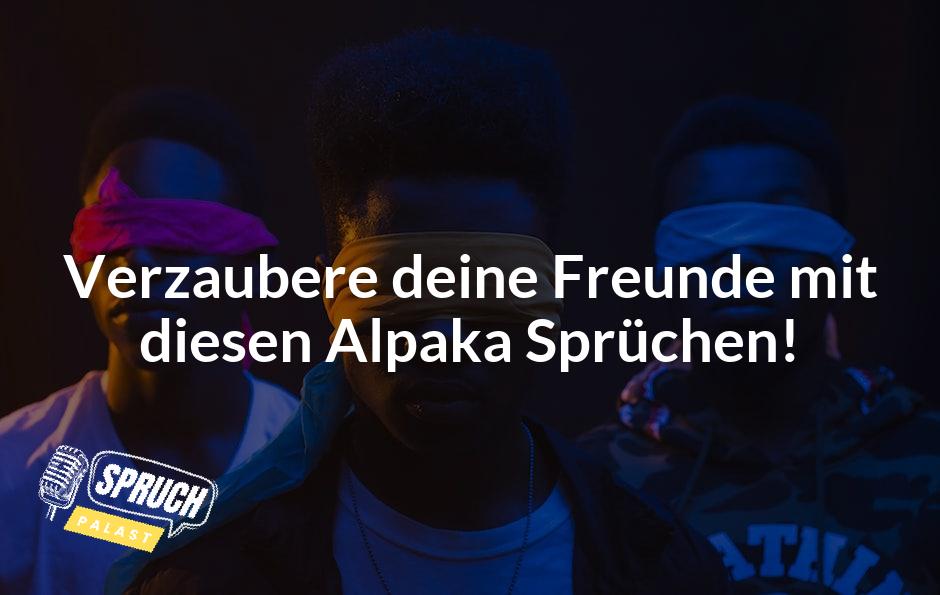 coole_alpaka_sprüche_featured_image