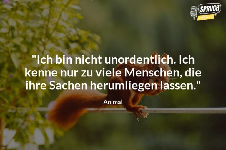 Tierisch lustig Die besten Sprüche der Muppets