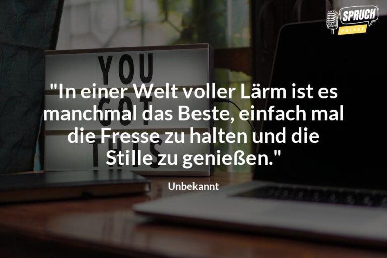 Kluger Rat in lauten Zeiten: Einfach mal die Fresse halten - Die besten