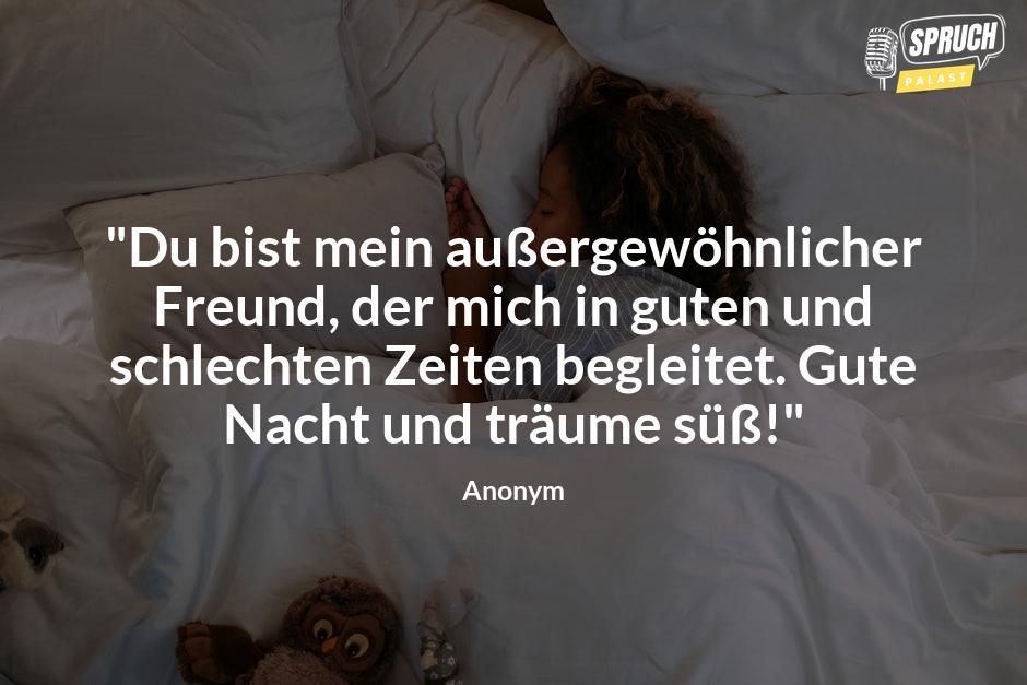 Bild mit dem Spruch"Du bist mein außergewöhnlicher Freund, der mich in guten und schlechten Zeiten begleitet. Gute Nacht und träume süß!"