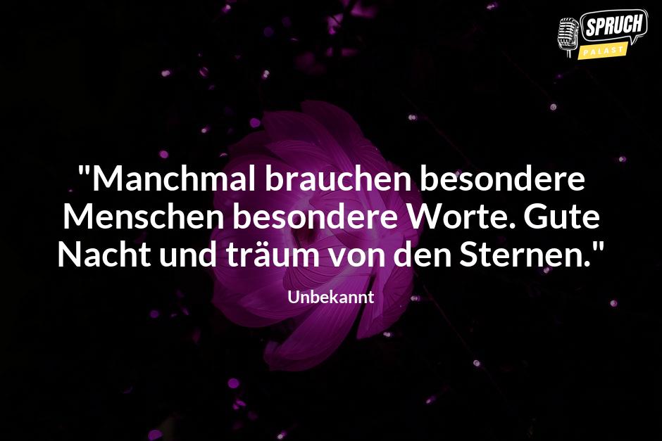 Bild mit dem Spruch"Manchmal brauchen besondere Menschen besondere Worte. Gute Nacht und träum von den Sternen."