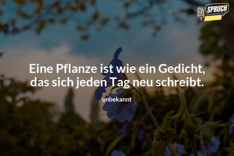 10 inspirierende PflanzenSprüche, die dein Leben grüner machen
