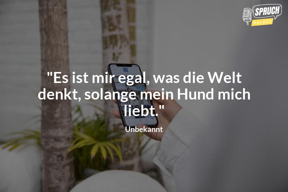 Bild mit dem Spruch"Es ist mir egal, was die Welt denkt, solange mein Hund mich liebt."