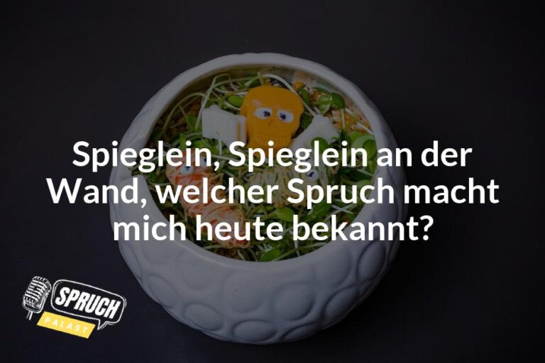 Spieglein, Spieglein an der Wand Die witzigsten Sprüche für deinen Spiegel