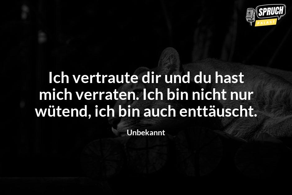 Bild mit dem SpruchIch vertraute dir und du hast mich verraten. Ich bin nicht nur wütend, ich bin auch enttäuscht.