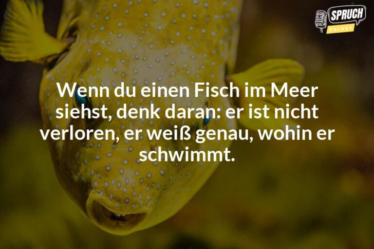 Fische im Sternzeichen Die lustigsten Sprüche für Meister des Versteckens