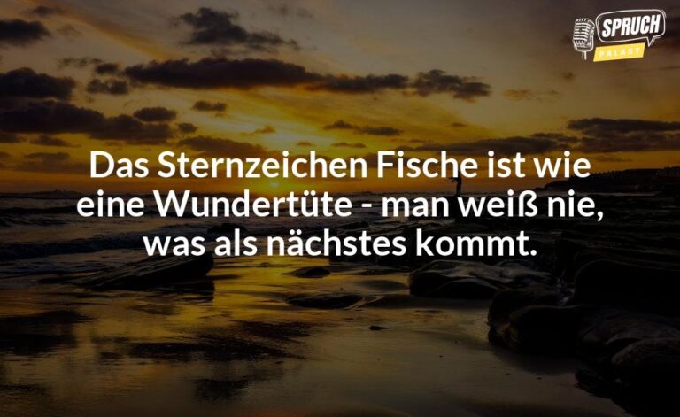 Fische im Sternzeichen Die lustigsten Sprüche für Meister des Versteckens