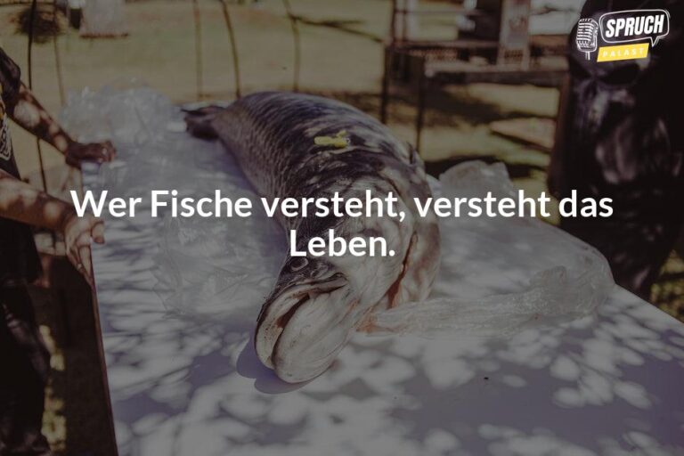 Fische im Sternzeichen Die lustigsten Sprüche für Meister des Versteckens