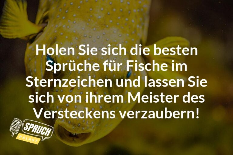Fische im Sternzeichen Die lustigsten Sprüche für Meister des Versteckens