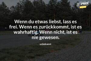 Was Du Liebst Lass Frei Ein Irrtum Oder Die Hochste Form Der Liebefeed