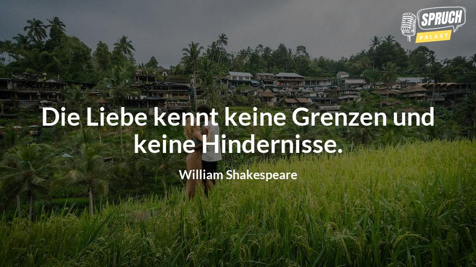 Bild mit dem SpruchDie Liebe kennt keine Grenzen und keine Hindernisse.