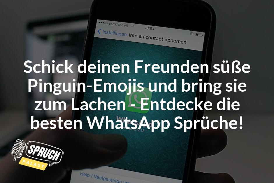 whatsapp_pinguin_sprüche_featured_image