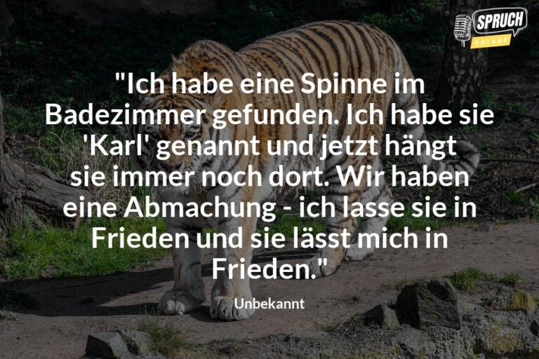 Tierisch lustig Die besten Witze und Sprüche rund um unsere tierischen